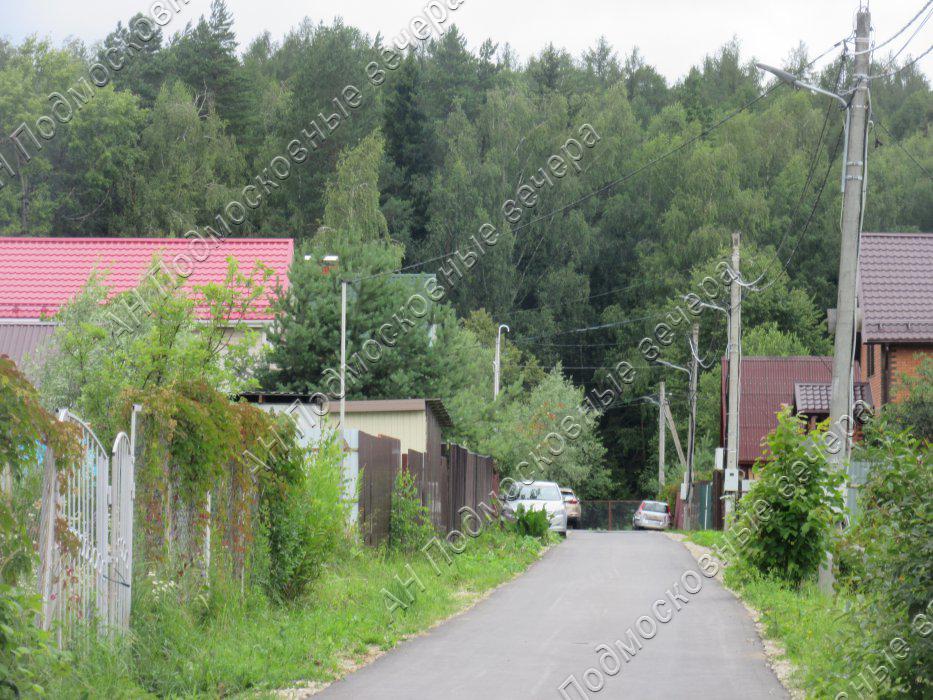 Бассейн Плесково Шишкин лес