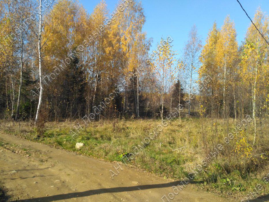 Погода в клочково солнечногорский. СНТ Клочково Солнечногорский.